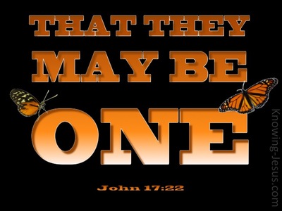 John 17:22 That They May Be One (orange)